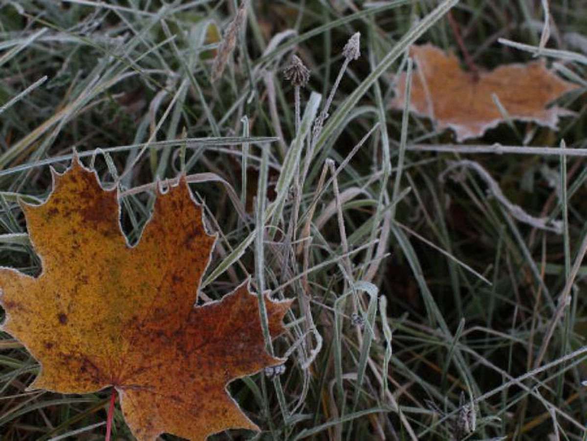 У Карпатах вночі  5-10° морозу