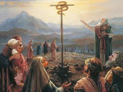 Стара нова політична арифметика