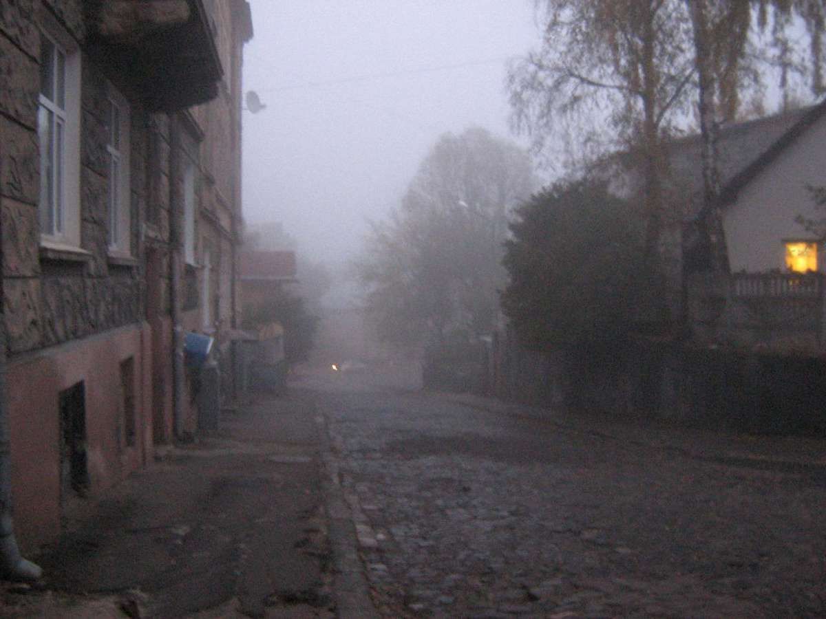 Вночі у Львові – туман і ожеледиця