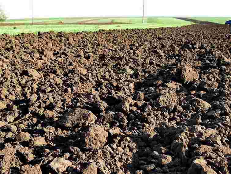 Янукович хоче збільшити вартість оренди землі 