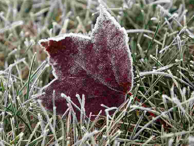 Вночі по Україні – до 7 градусів морозу