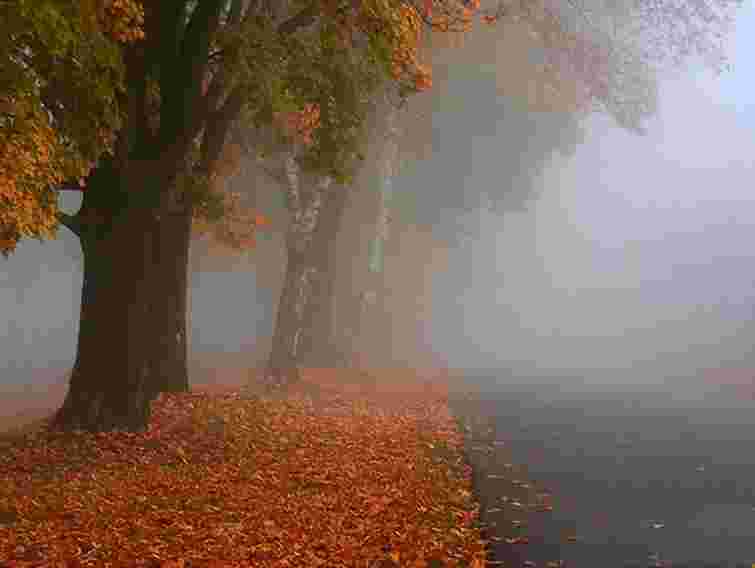 Цього тижня в Україні без опадів та туманно - Укргідрометцентр
