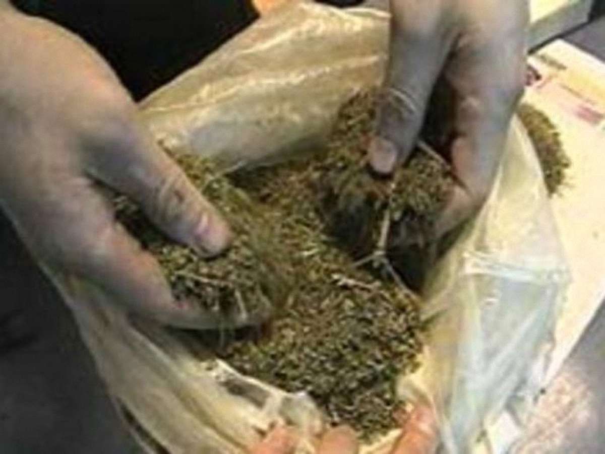 У селянина на Львівщині знайшли понад 3 кг марихуани