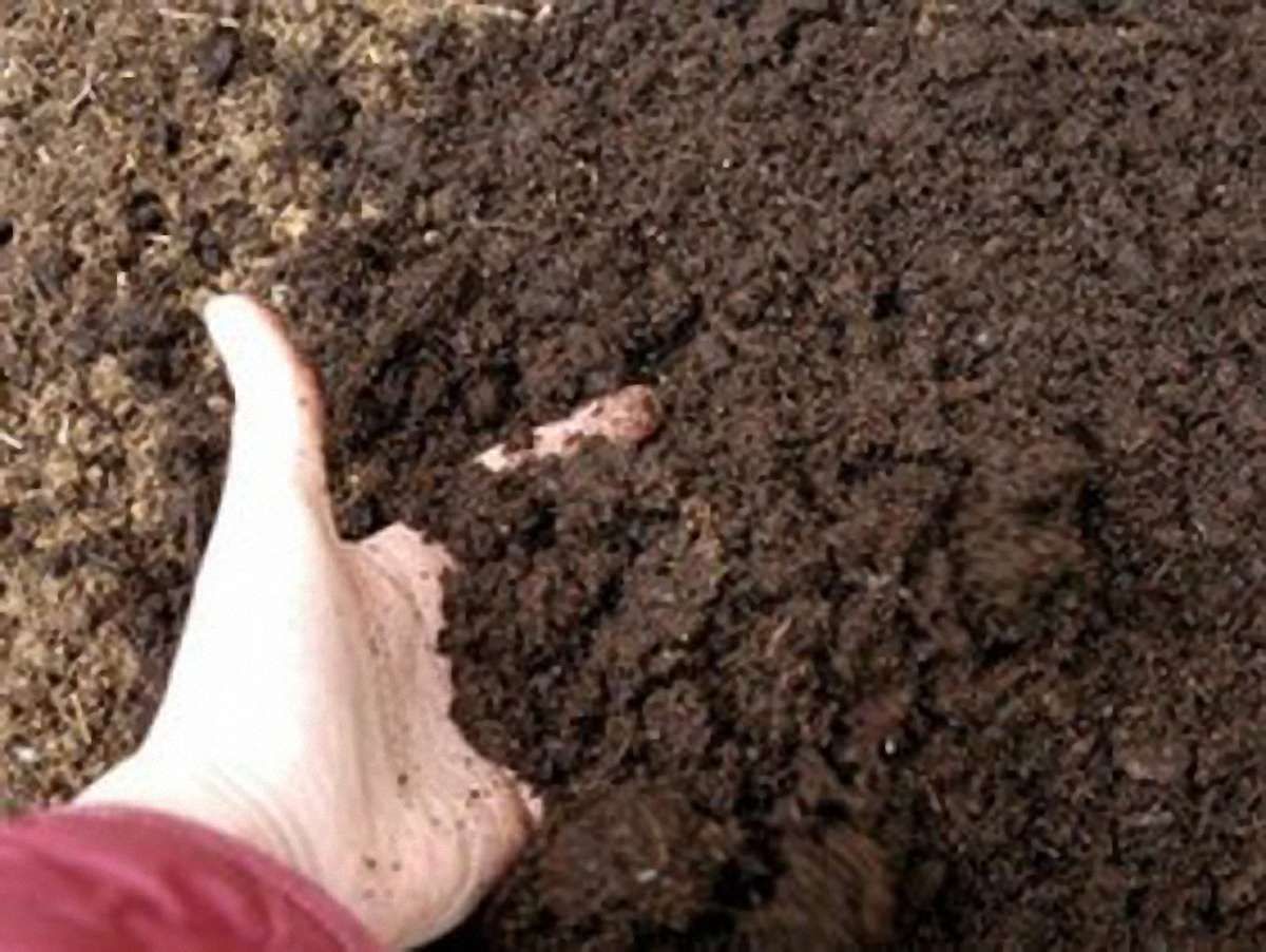 У ПР пояснили, чому голосували за мораторій на продаж землі