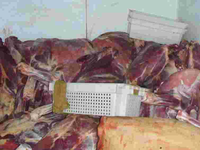 На Тернопільщині ветеринари вилучили з обігу 1,5 т неякісної яловичини