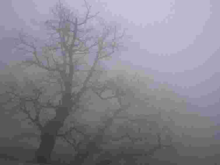 Завтра в Україні – туман