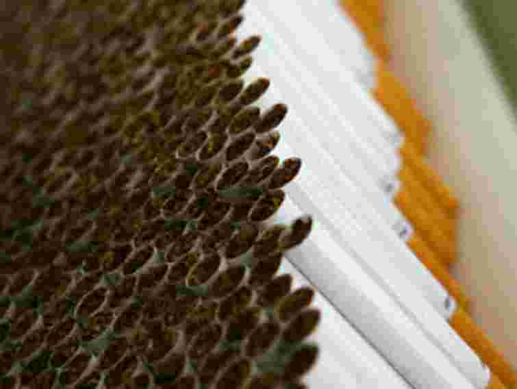 У «Шегинях» виявили понад 10 тис. пачок цигарок