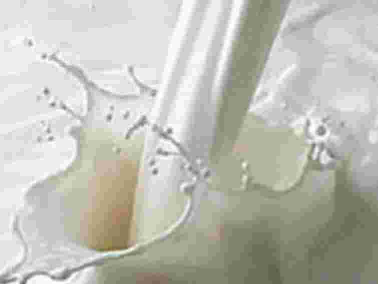 У барі на Луганщині працював незаконний молокопереробний цех