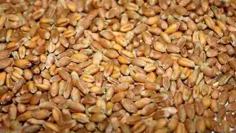 В України нема підстав обмежувати експорт пшениці, - Бісюк