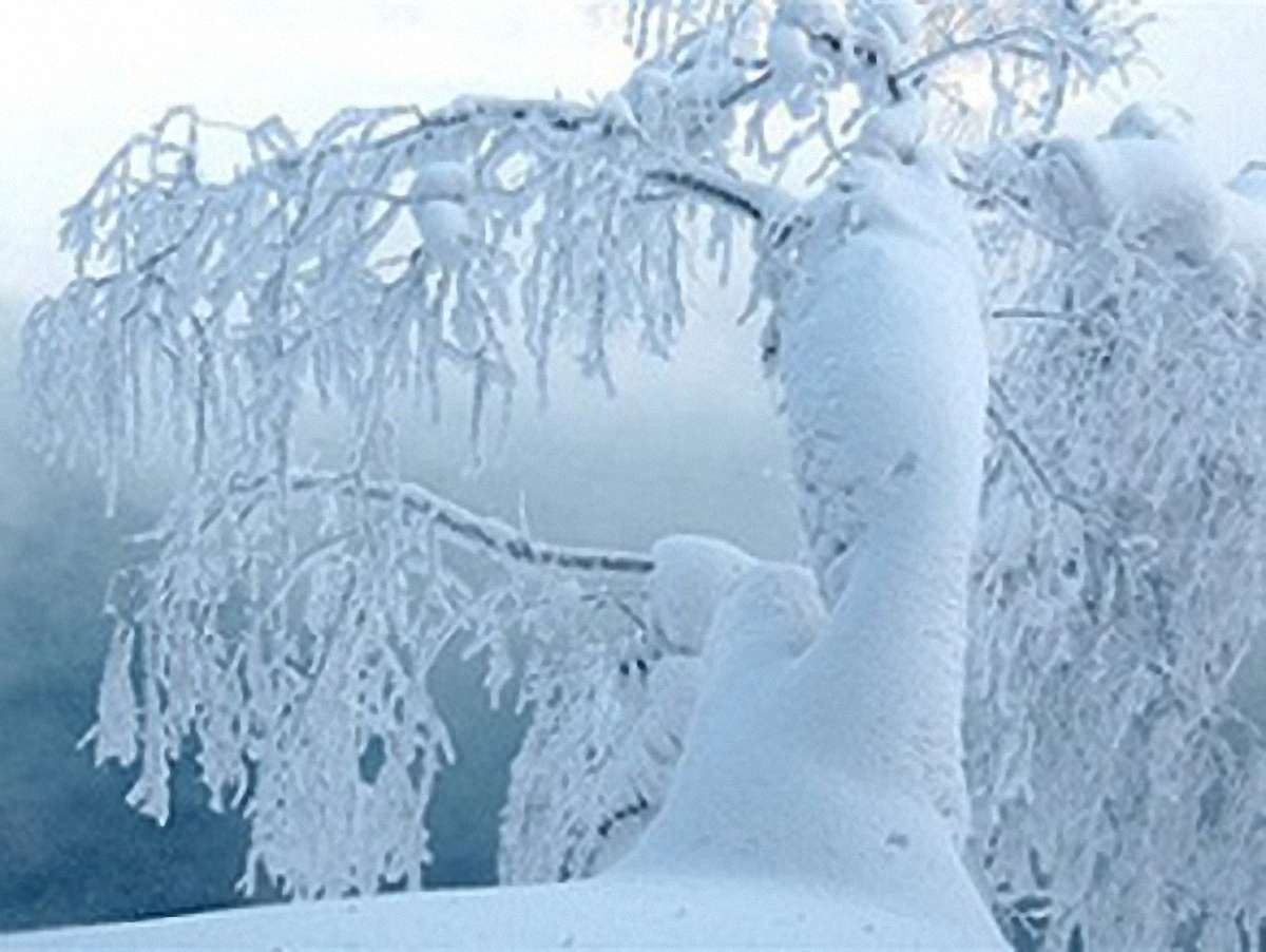 На Різдво обіцяють до 10 градусів морозу