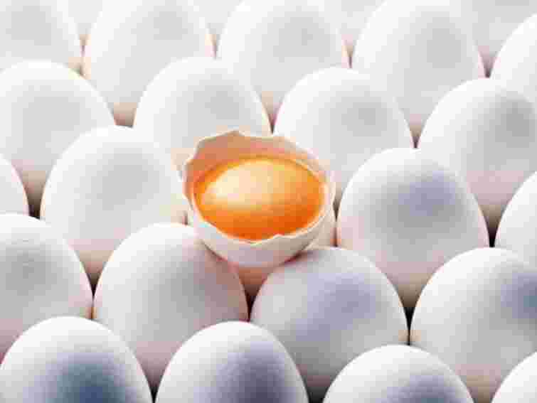 Україна зможе постачати в ЄС птицю і яйця