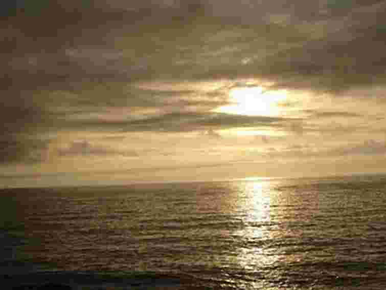 Знайшли п'ятого загиблого із затонулого судна біля Нідерландів