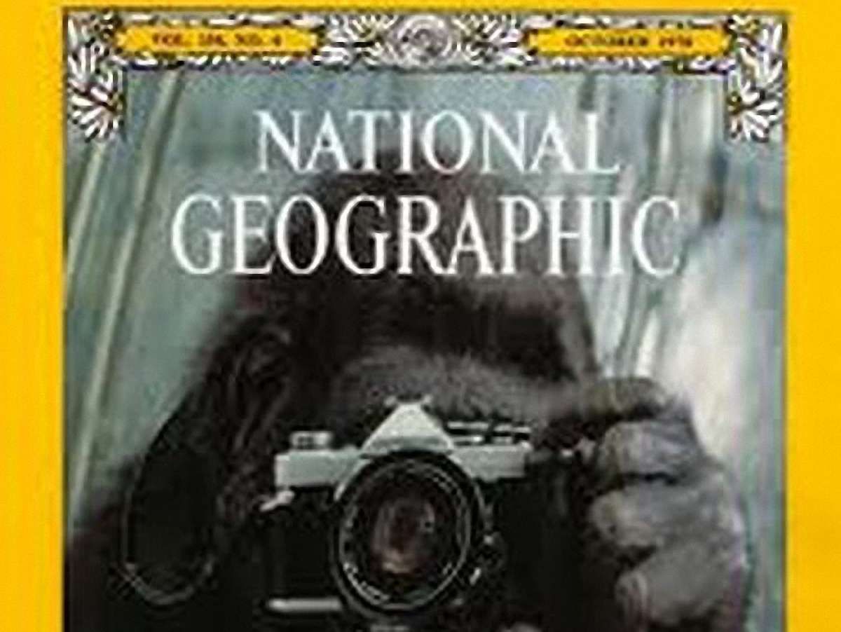 National Geographic виходитиме українською з березня