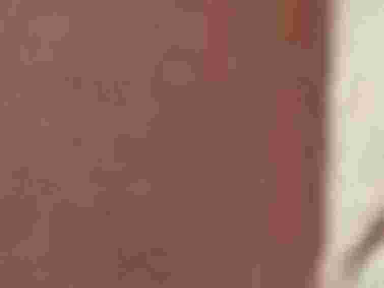 В Івано-Франківську збиратимуть гроші на пам’ятник Степанівні