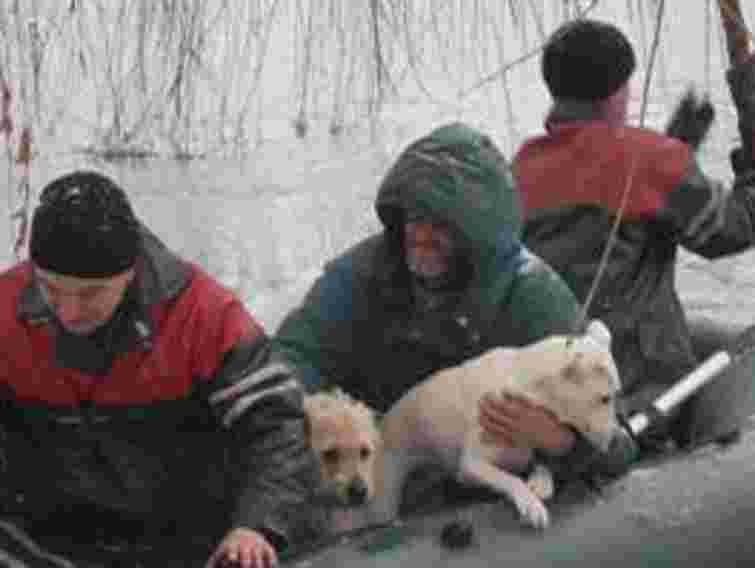 На Київщині врятували чоловіка, що 2 доби перебував на острові