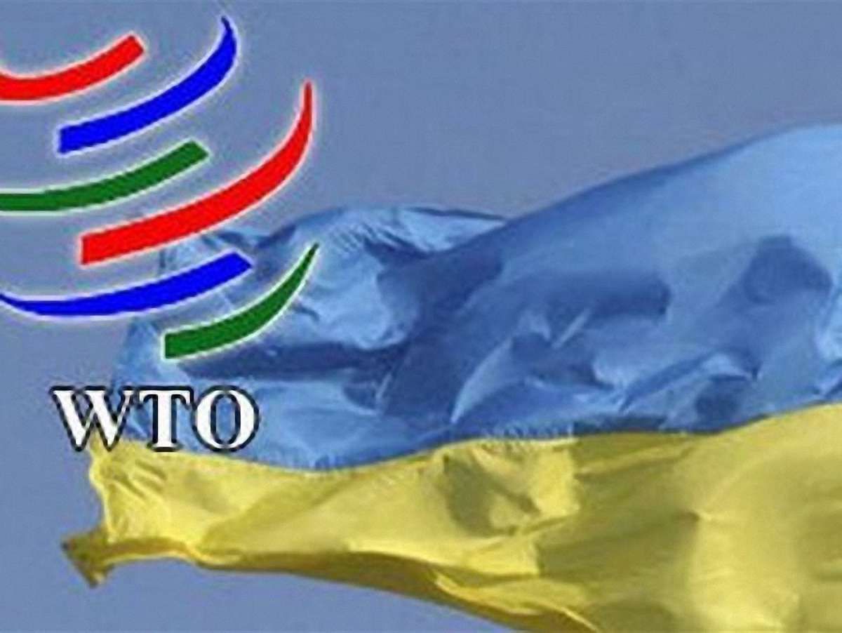 30 членів СОТ проведуть переговори з Україною по розміру мит
