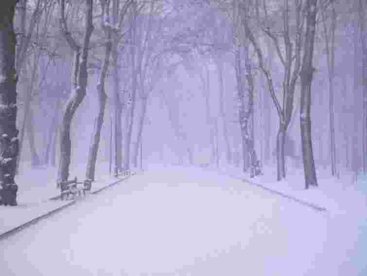 195 населених пунктів у трьох областях – досі без світла