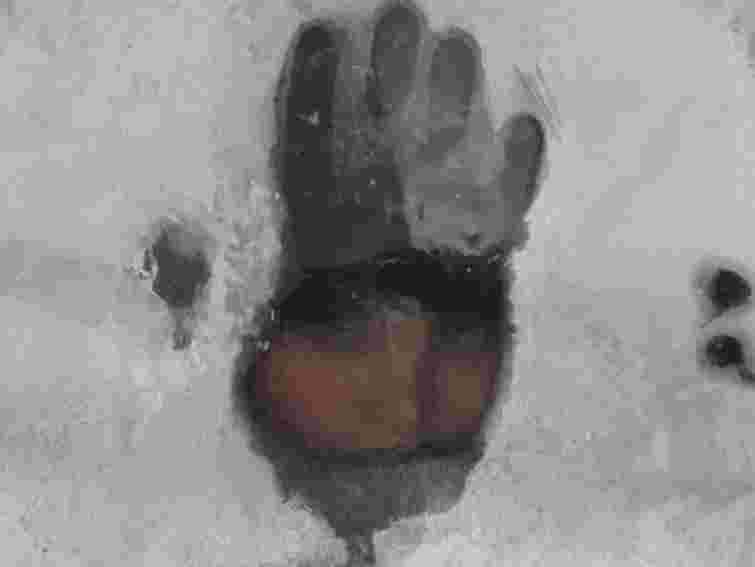 В Україні відкрито  991 пункт обігріву