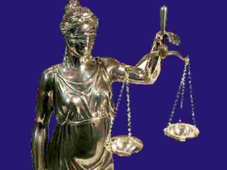 Триває досудове розслідування проти службовців Шевченківського гаю