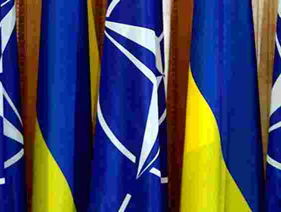 НАТО позитивно оцінює співпрацю з Україною