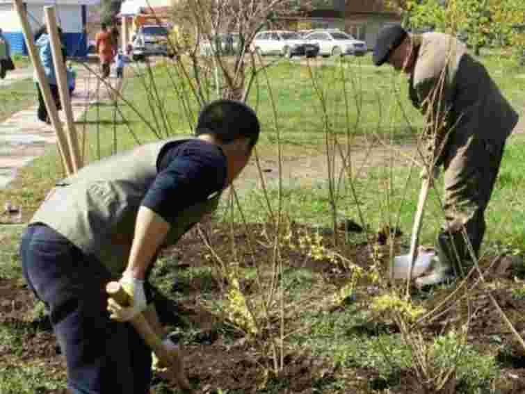 У Львові затвердили перелік громадських робіт на 2013 рік