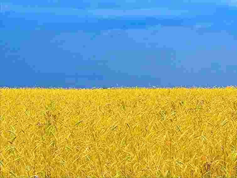 Україна - єдина країна світу, що не подолала кризу, - експерт