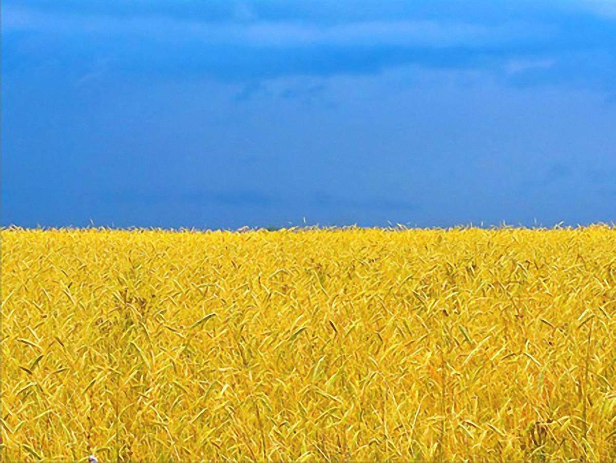Україна - єдина країна світу, що не подолала кризу, - експерт