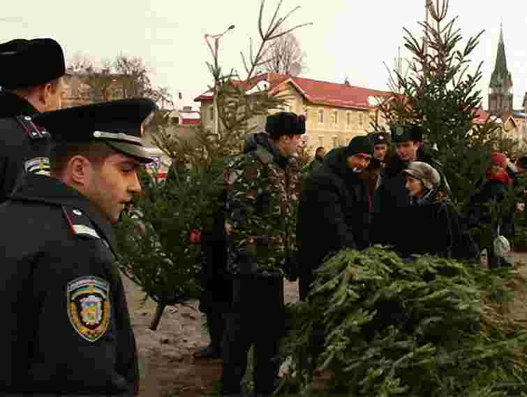Міліція з незаконного продажу вилучила 109 тисяч ялинок