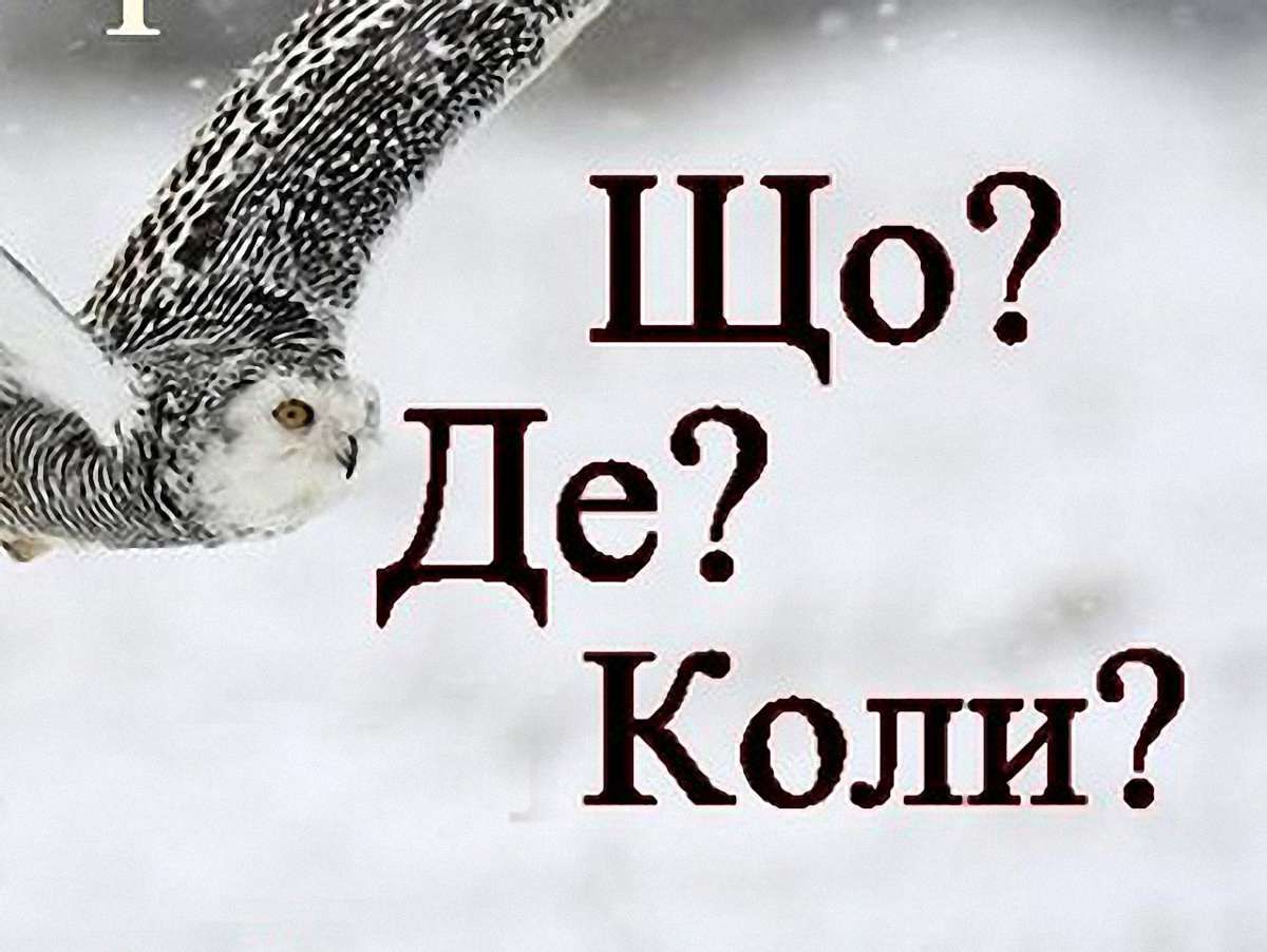 У Львові проведуть фестиваль інтелектуальних ігор