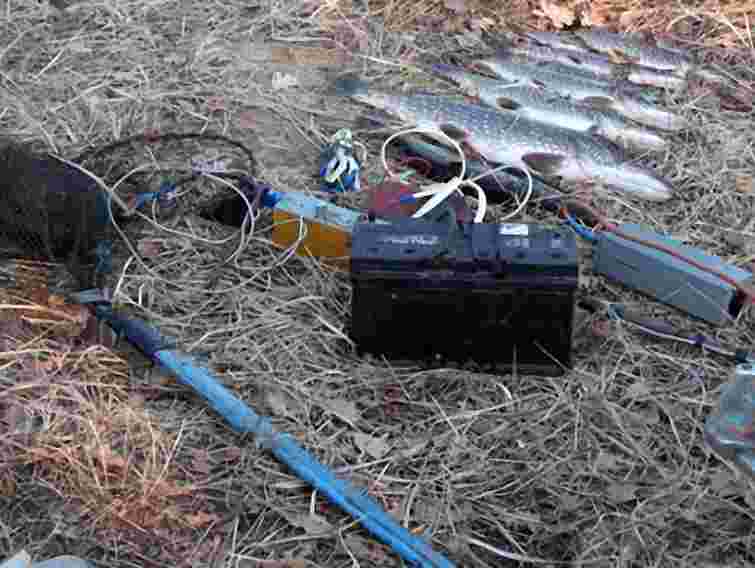 На Прикарпатті міліція вилучила у браконьєрів 40 кг риби