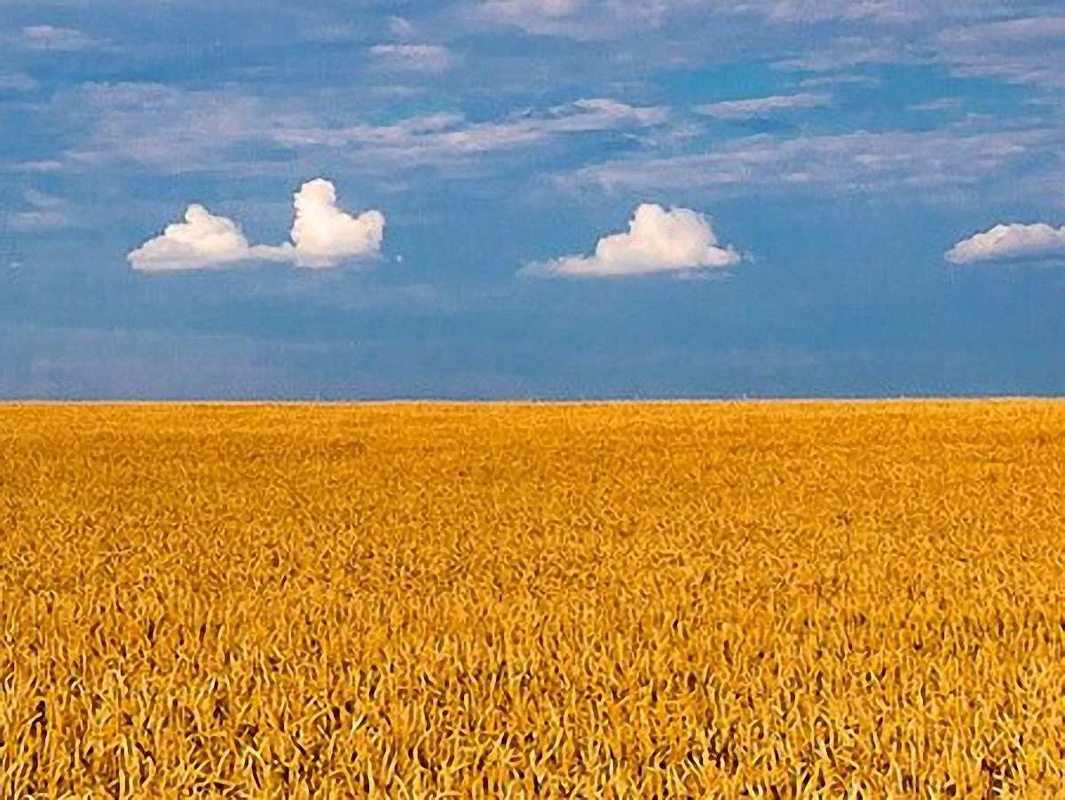 Україна зараз у передізоляційному стані, - експерт