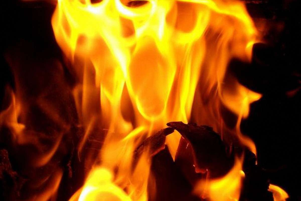 У Києві на Різдво горіла ветлікарня: загинули 5 тварин