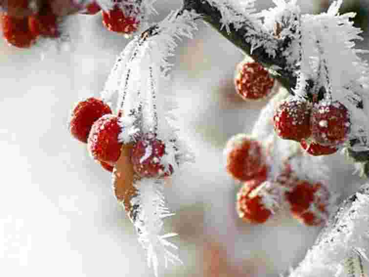 Завтра в Україні – до 20° морозу