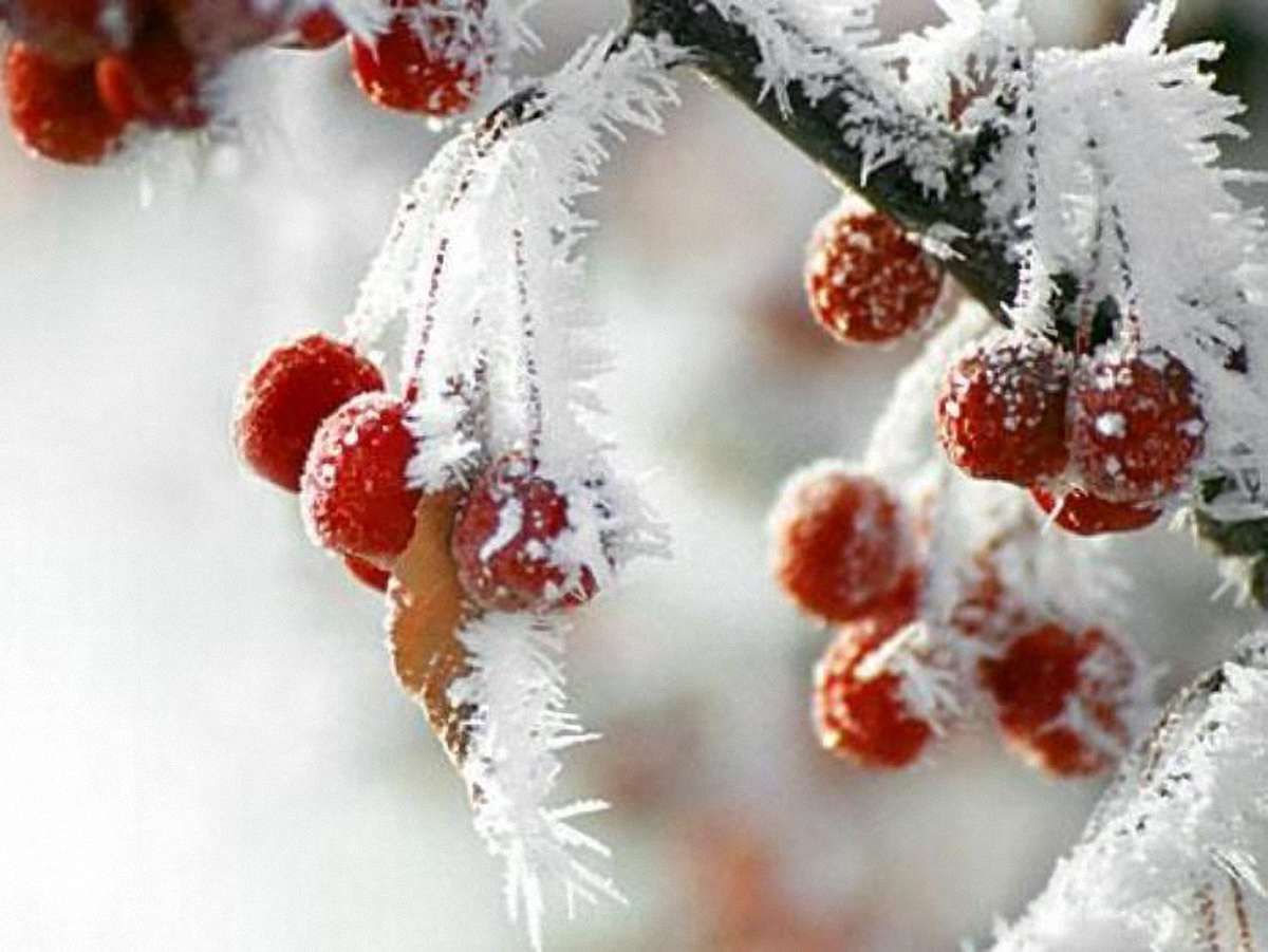 Завтра в Україні – до 20° морозу