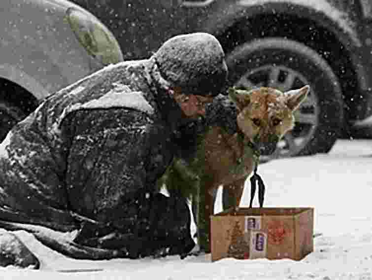 Львів’ян просять не бути байдужими до бездомних