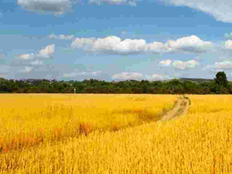 Торік агрофірми Львівщини отримали грантів на 4  млн грн