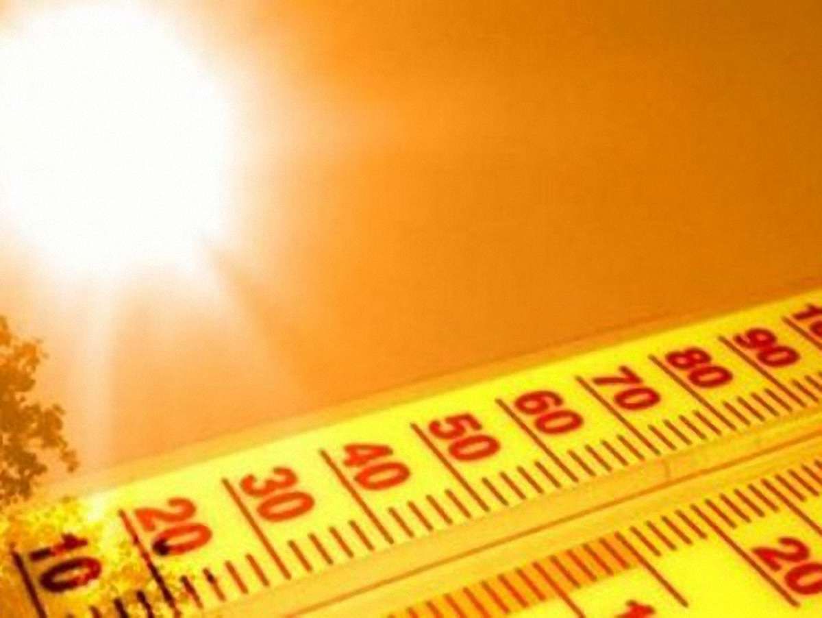 У Сіднеї зафіксували рекордну спеку - 45,8°С