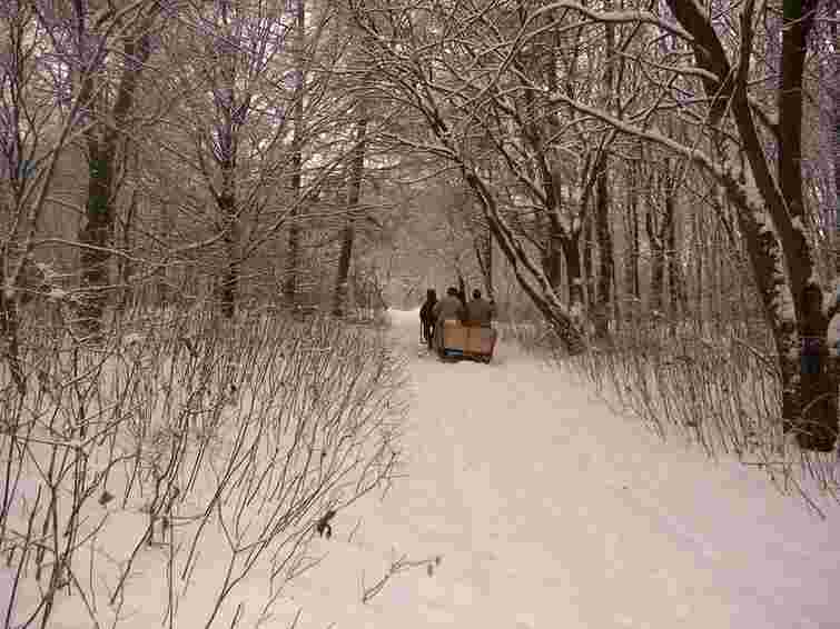 Українець тягнув на санях у Білорусь 10 ящиків горілки