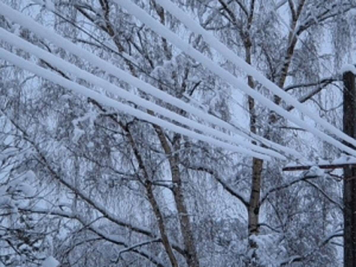 260 сіл на Львівщині через негоду залишились без світла