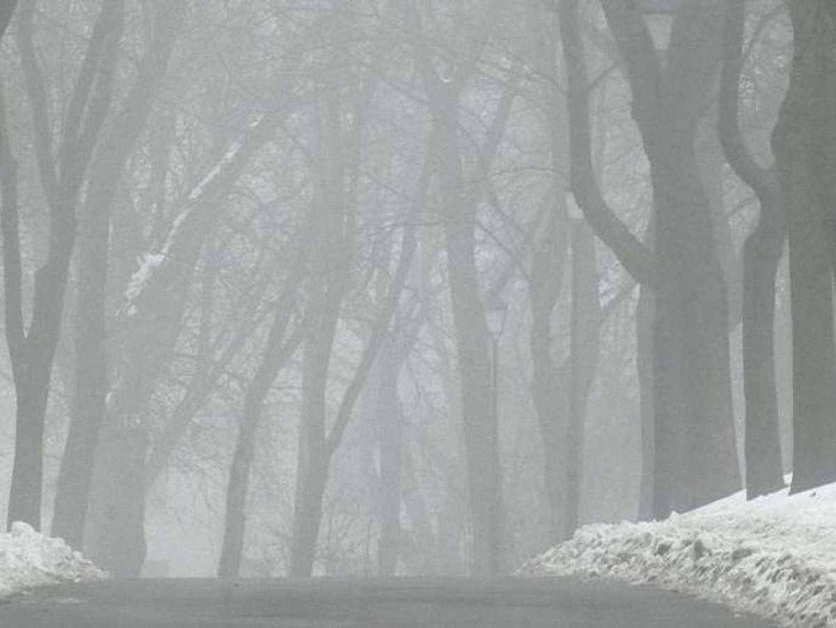 На Львівщині – сильна ожеледь і туман