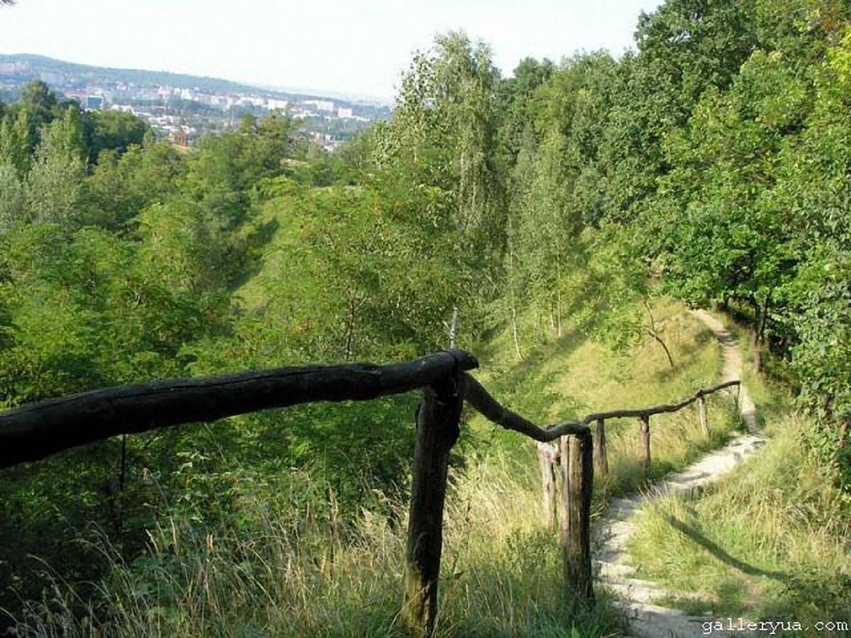 Парк «Знесіння» у Львові загородять коштом спонсорів