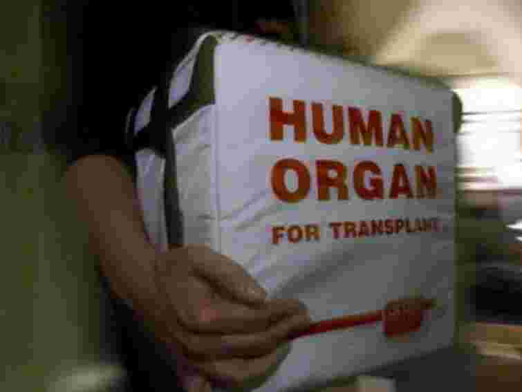 Половина українців проти вилучення органів померлих