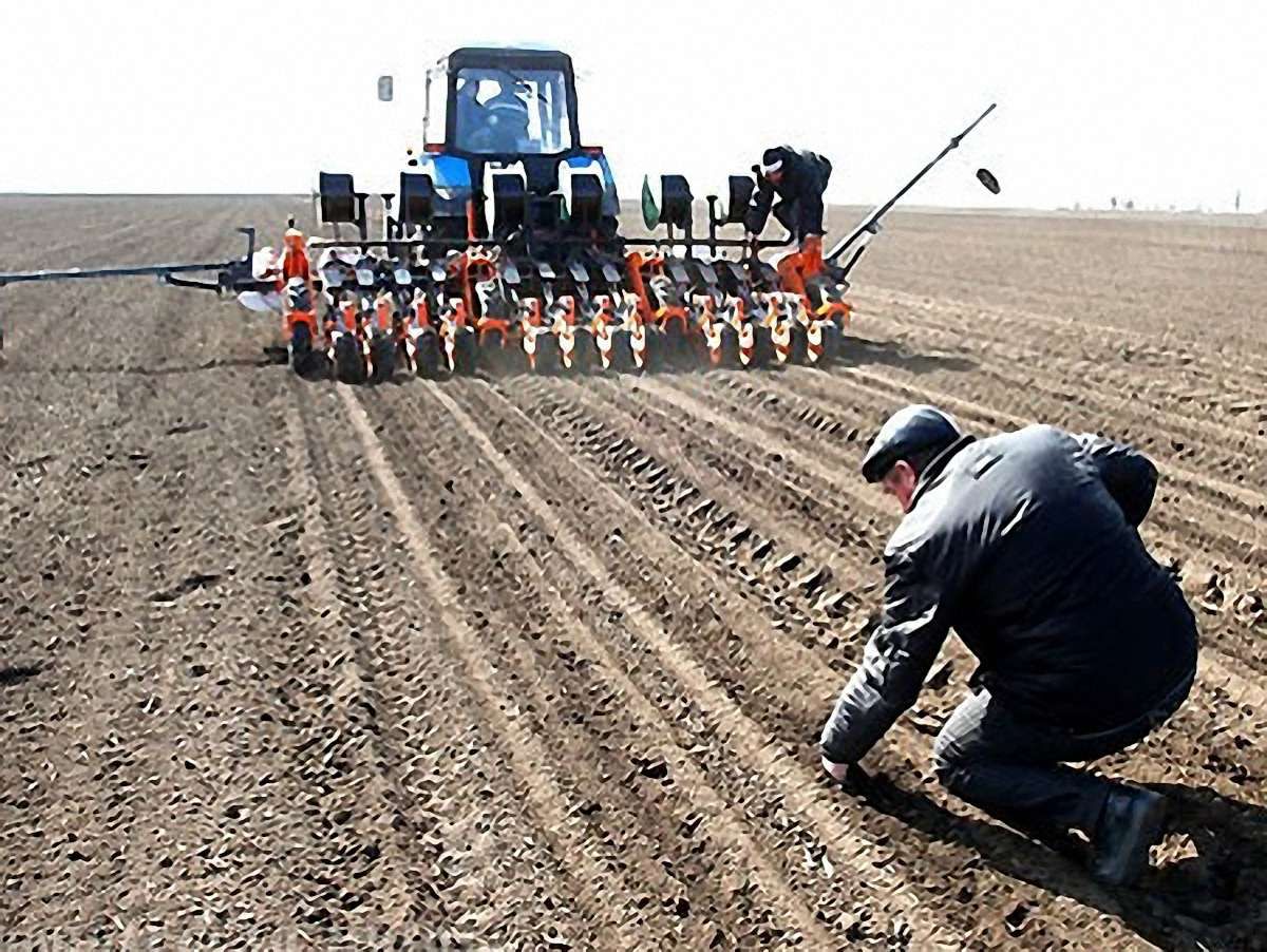 Львівщина планує засіяти понад 600 тис. га