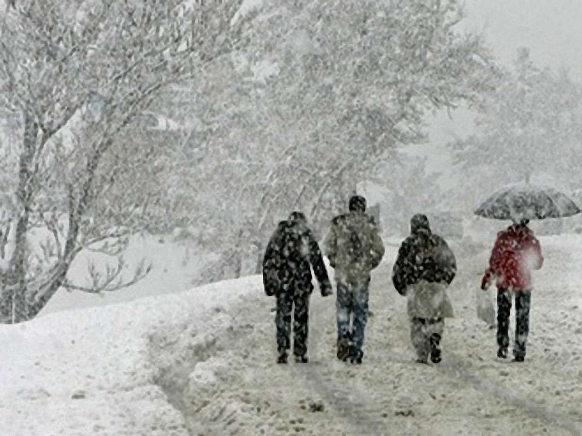 Снігопад паралізував рух транспорту на Запоріжжі та в Одесі