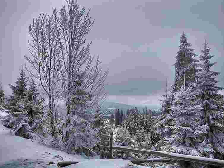 На Прикарпатті рятувальники знайшли 2 туристів, що заблукали