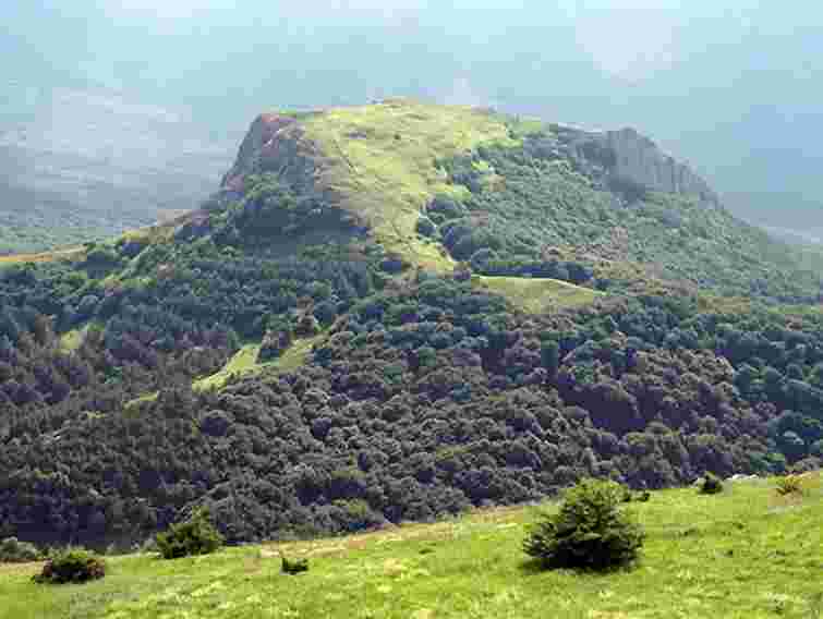 У Криму під час збирання грибів заблукала 63-річна жінка