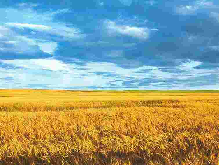 Першу збірку українських карт від кам’яного віку до сьогодення презентували в Києві