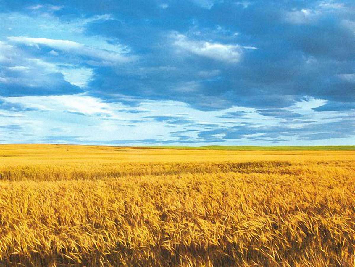 Першу збірку українських карт від кам’яного віку до сьогодення презентували в Києві