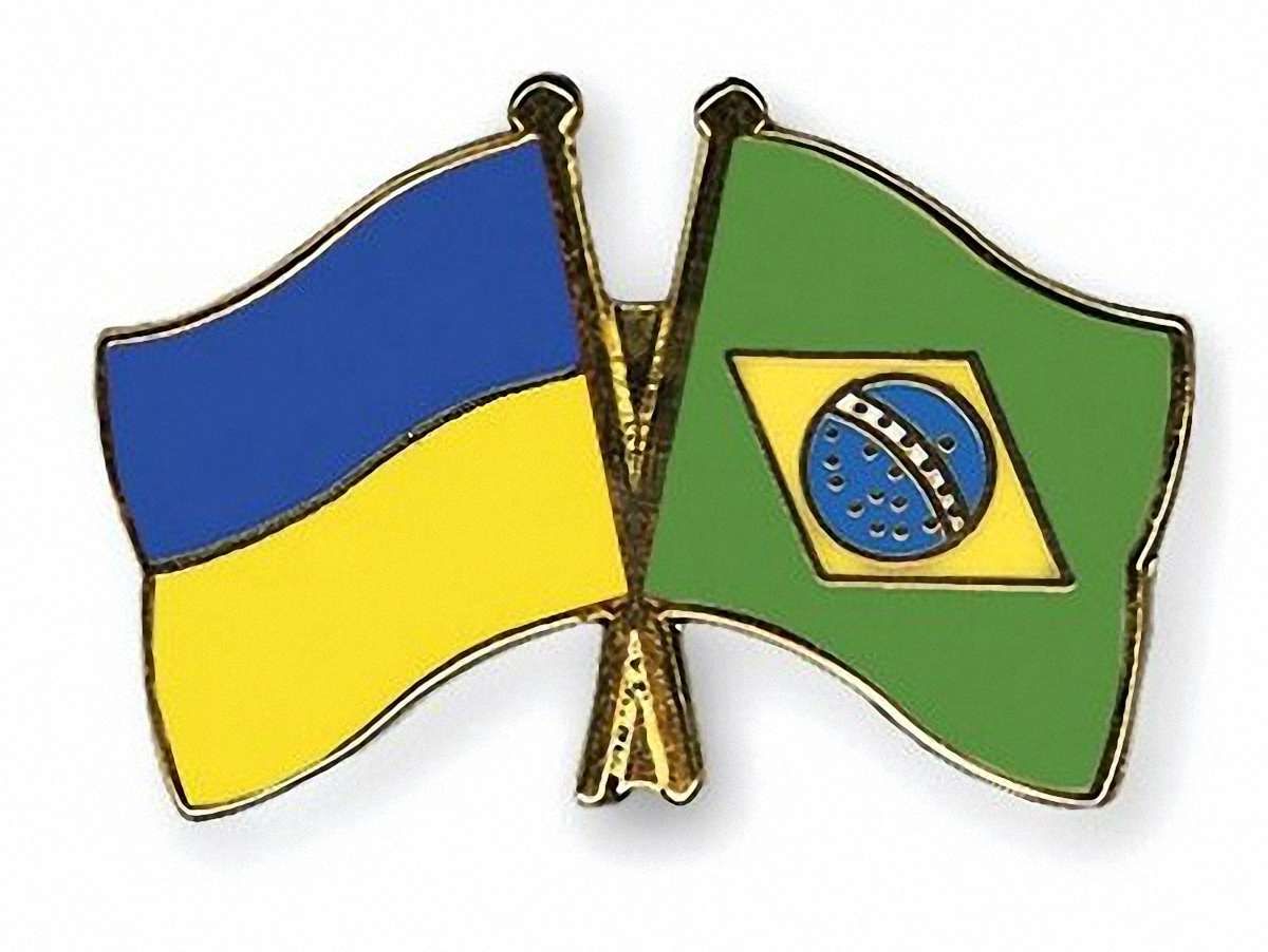 Україна запропонувала Бразилії лікувати в Донецьку постраждалих від пожежі