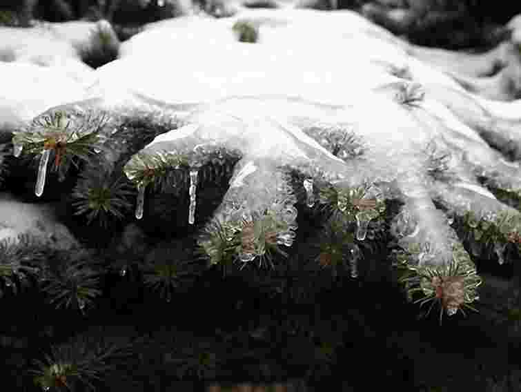 Холодна погода в Україні збережеться до березня, - Кульбіда